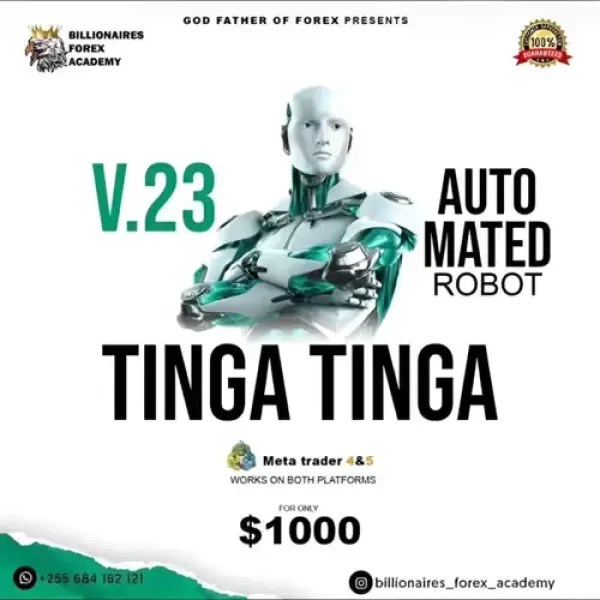 TINGA TINGA ROBOT