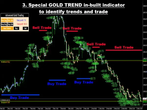 Advanced Gold Trading Review