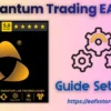 AI Quantum Trading EA MT5 Settings