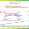 ALFA QUANT FOREX ROBOT Backtests Results