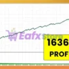 AXEL Forex Ultra Security AUDJPY MT5 Backtests Results