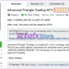 Advanced Triangle Trading MT4 Overview