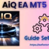 AiQ EA MT5 Settings