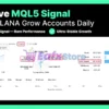 Alana MT5 Live Results