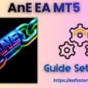 AnE EA MT5 Settings