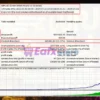 Aurus Gold x5 EA Backtest Results
