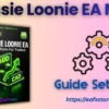 Aussie Loonie EA MT4 Settings