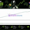 Aussie Loonie EA MT5 Test Results