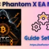 BTC Phantom X MT5 Settings