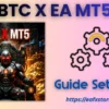 BTC X EA MT5 Settings