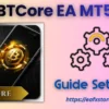 BTCore EA MT5 Settings
