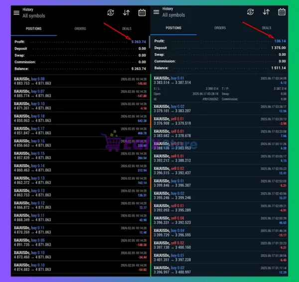 BTX SCALPER PRO MT5 Review