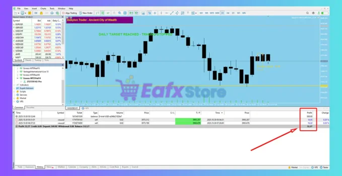 Babylon Trader Small Account Pro MT5 Reading Results