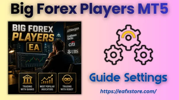 Big Forex Players MT5 Setting