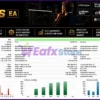 Big Forex Players MT5 trading results