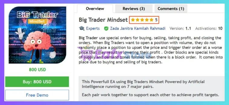 Big Trader Mindset EA MT5 Review