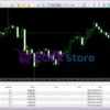 Bitcoin Robot Grid MT4 Trading Results