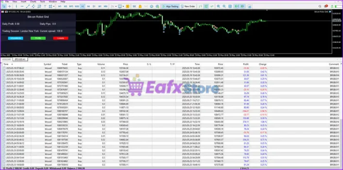 Bitcoin Robot Grid MT5 Results