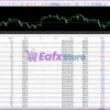 Bitcoin Robot Grid MT5 Review