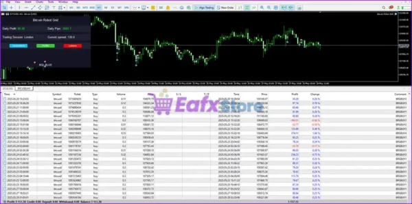 Bitcoin Robot Grid MT5 Reviews