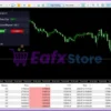 Bitcoin Robot MT4 Live Trading