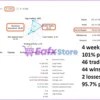 Bitcoin Wizard MT5 Live Results