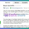 Black Gold MT4 Review