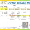 Black Mamba EA Backtest Results