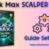 Black Max SCALPER EA Settings