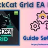 BlackCat Grid EA Settings