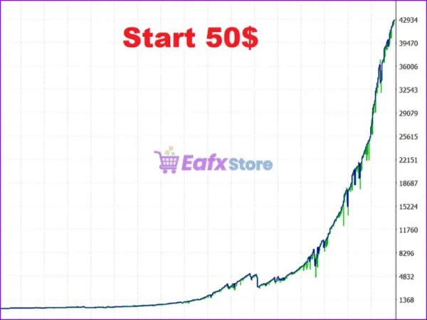 BlackQueen EA Backtests Results