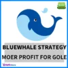 BlueWhale EA