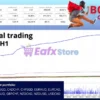 Bomber Corporation EA Backtest Results