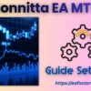 Bonnitta EA MT5 Settings
