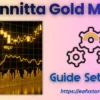 Bonnitta Gold MT5 Settings