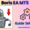 Boris EA MT5 Settings