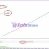 BreakTrue AI MT4 Backtest Results