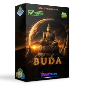 Buda MT5