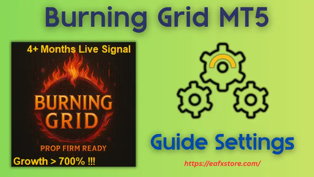 Burning Grid MT5 Settings