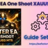Buster EA One Shoot XAUUSD MT5 Settings