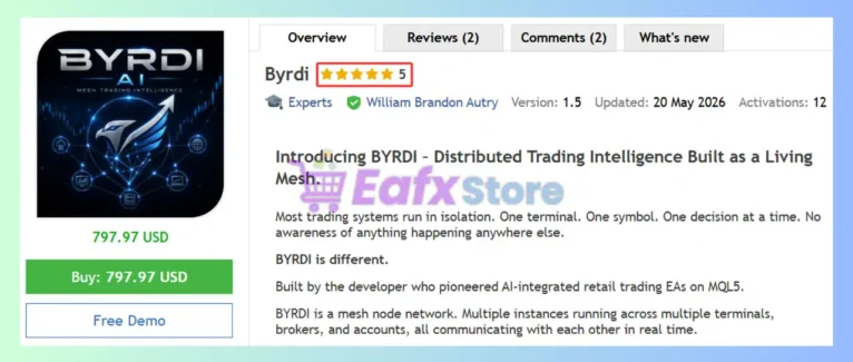 Byrdi EA MT5 Review