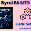 Byrdi EA MT5 Settings