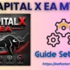 CAPITAL X EA MT5 Settings