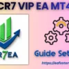 CR7 VIP EA MT4 Setting