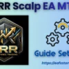 CRR Scalp EA MT5 Settings