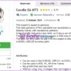 Candle EA MT5 Overview