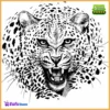 CeleritasForex EA