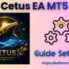 Cetus EA MT5 Settings