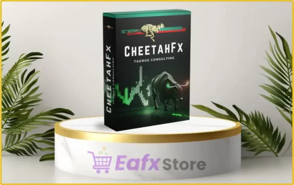 CheetaFX EA Overview