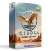 Cibola EA MT4